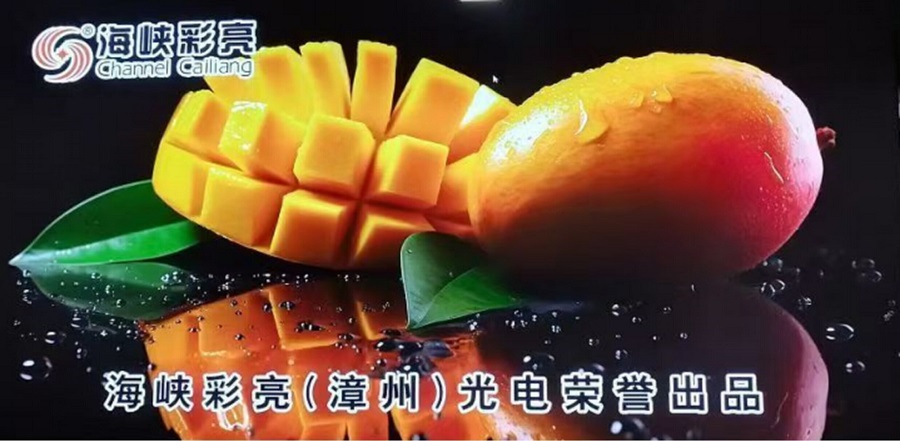 GOB P1.25 Waterproof LED Display Screen Modules LED Video Wall Modules